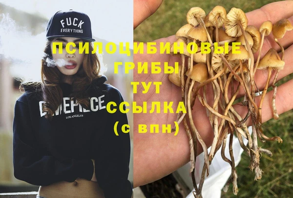 PSILOCYBIN Верхнеуральск