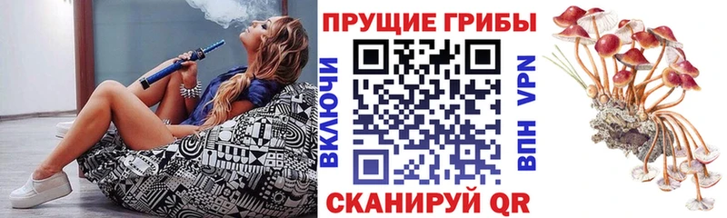 Галлюциногенные грибы Magic Shrooms  магазин    Дмитриев 